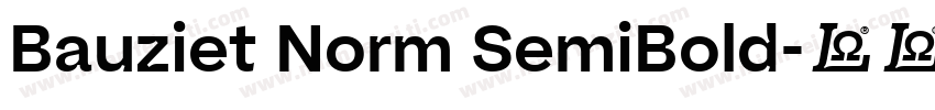 Bauziet Norm SemiBold字体转换